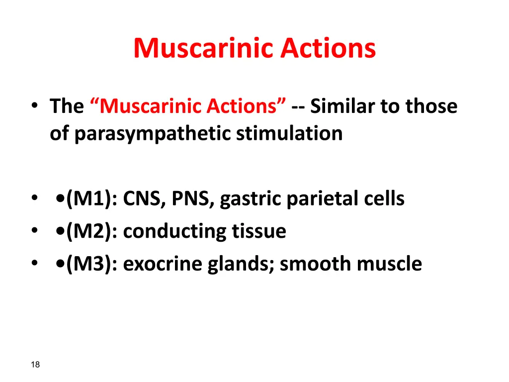 muscarinic actions