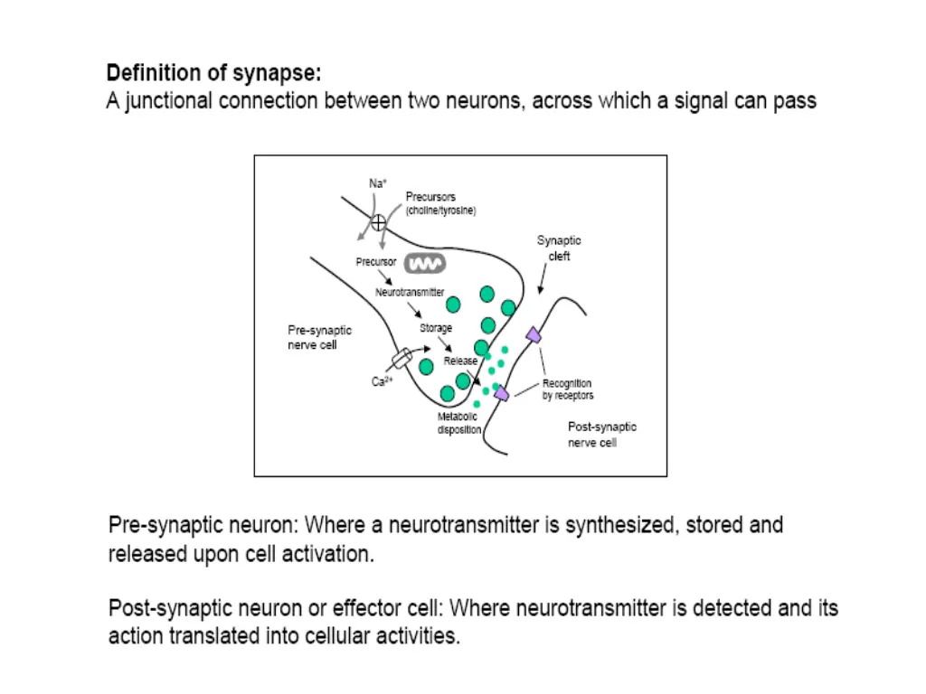 slide11