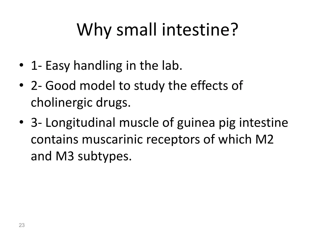 why small intestine