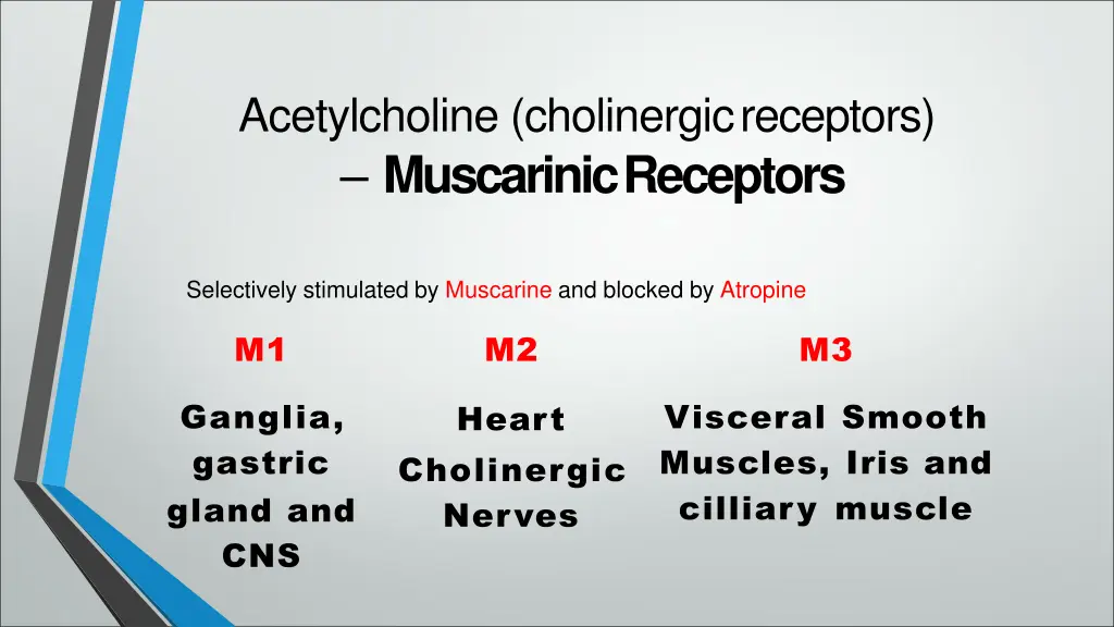 acetylcholine cholinergicreceptors