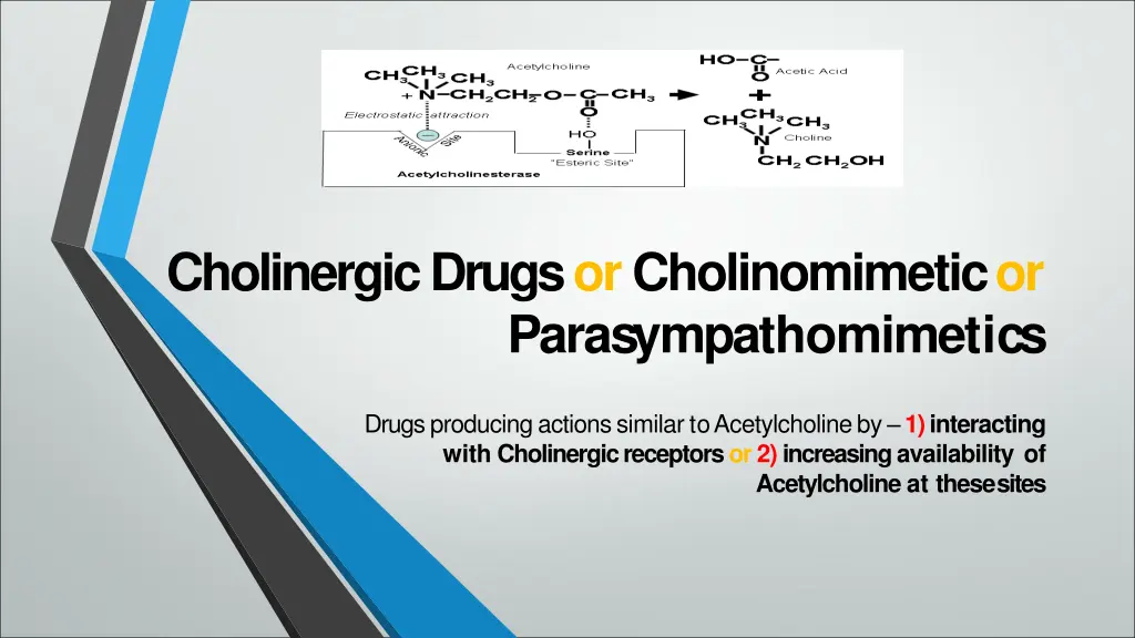 cholinergic drugs or cholinomimeticor