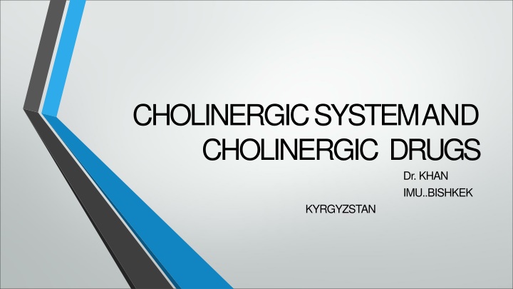 cholinergic system and cholinergic drugs