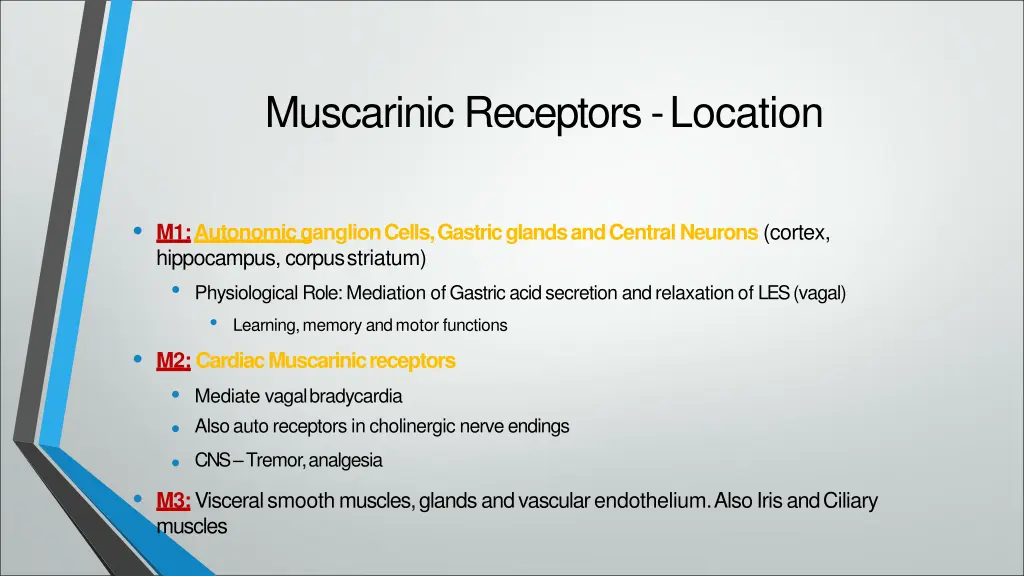 muscarinic receptors location