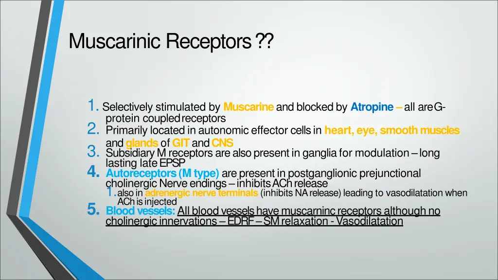 muscarinic receptors