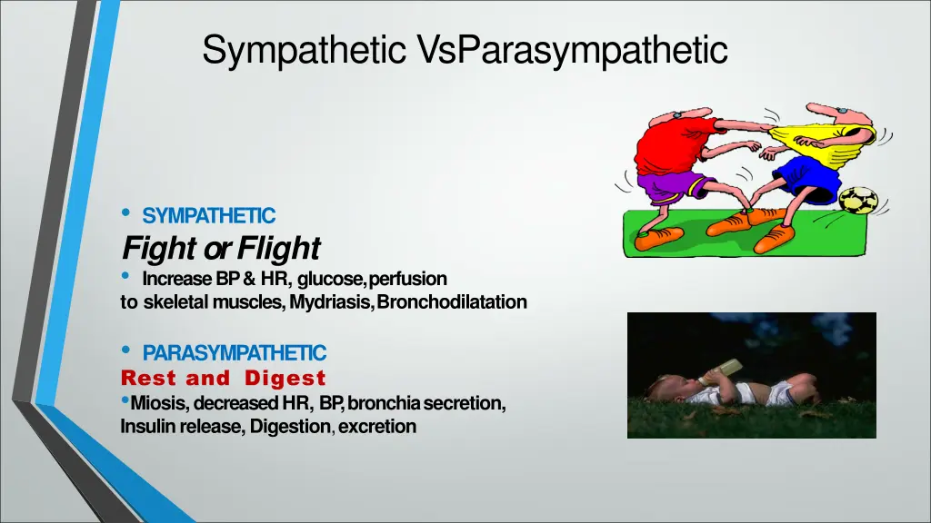 sympathetic vsparasympathetic