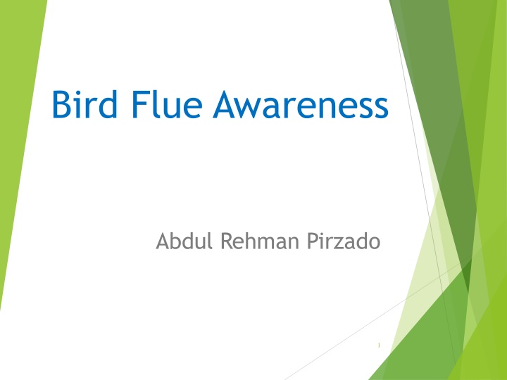 bird flue awareness