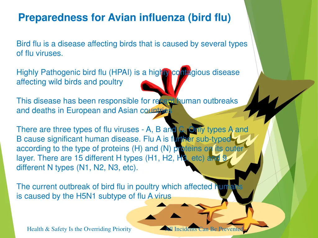 preparedness for avian influenza bird flu 1