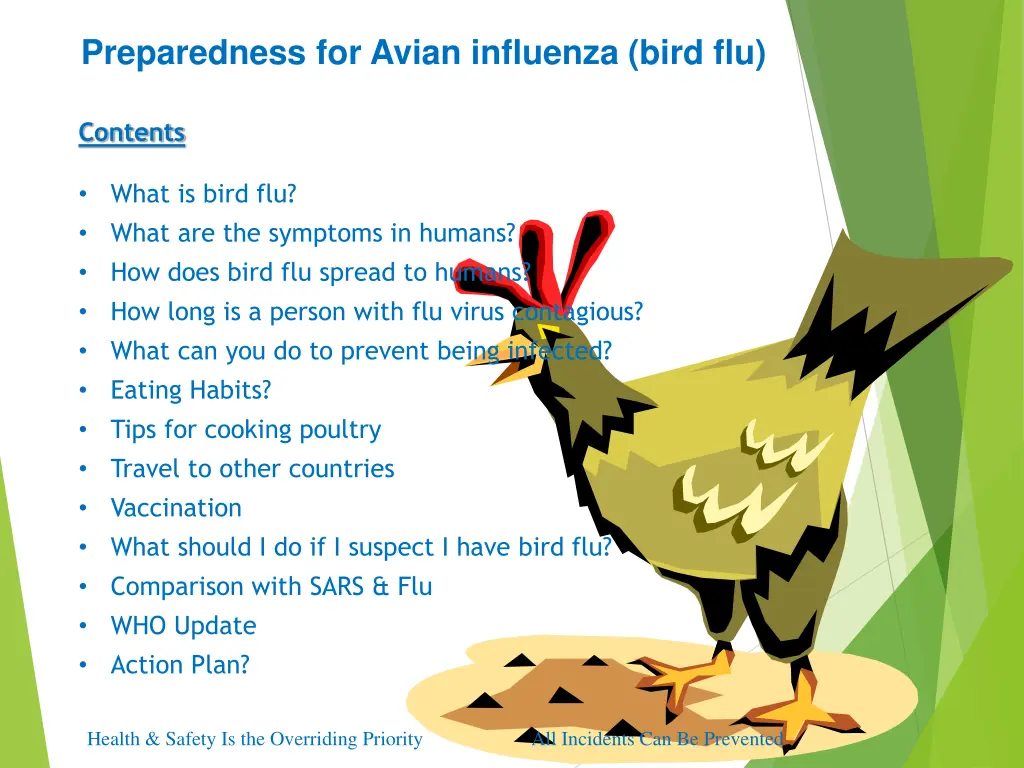 preparedness for avian influenza bird flu