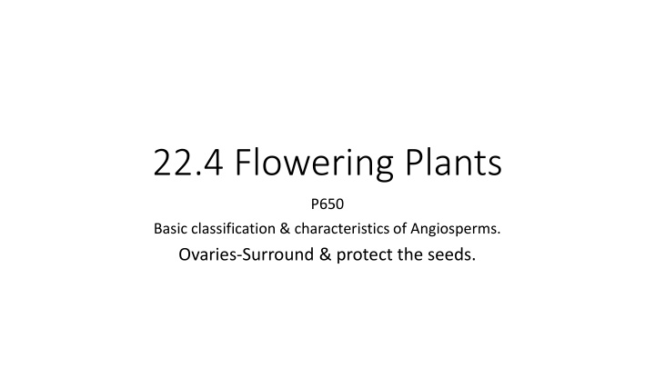 22 4 flowering plants