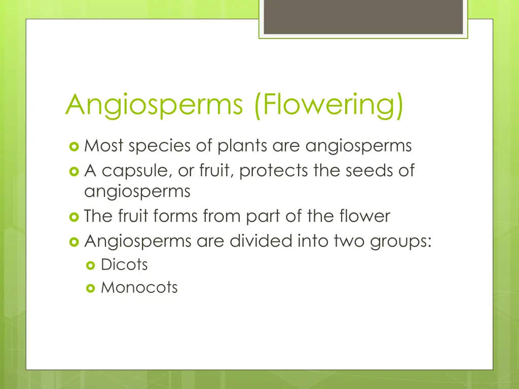 angiosperms flowering