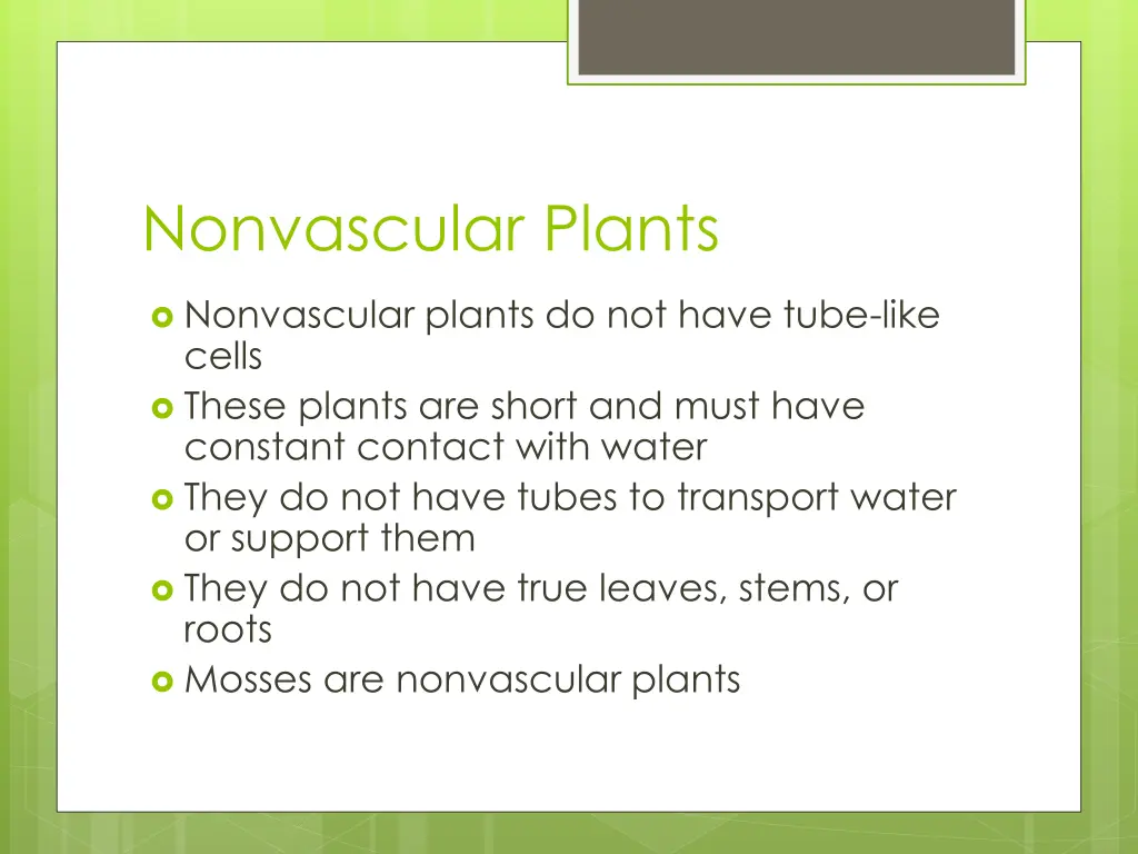 nonvascular plants