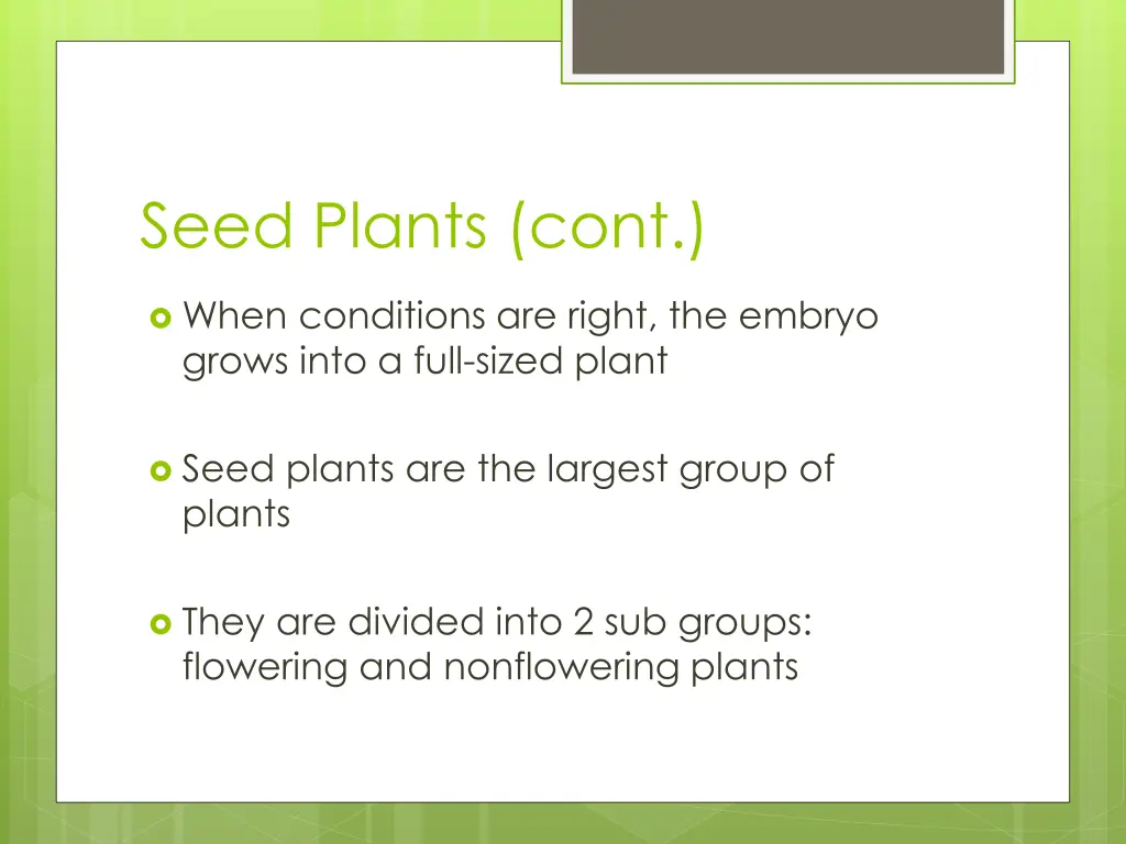 seed plants cont