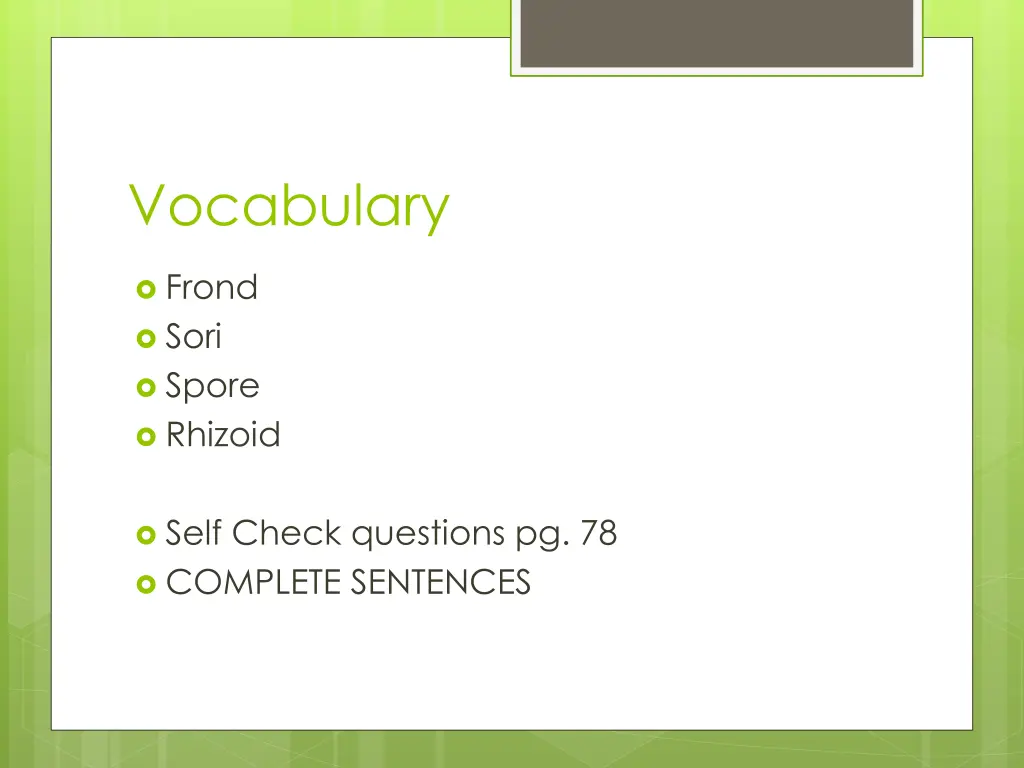 vocabulary 2