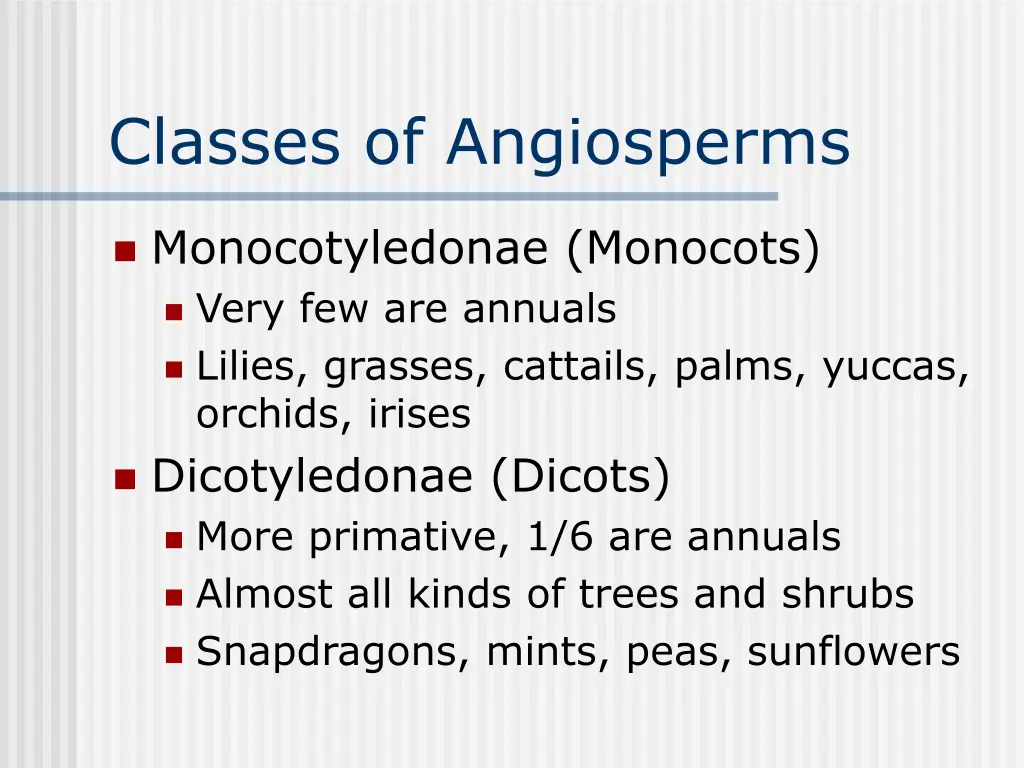 classes of angiosperms