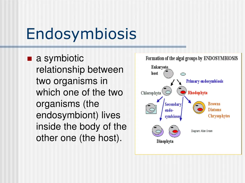 endosymbiosis