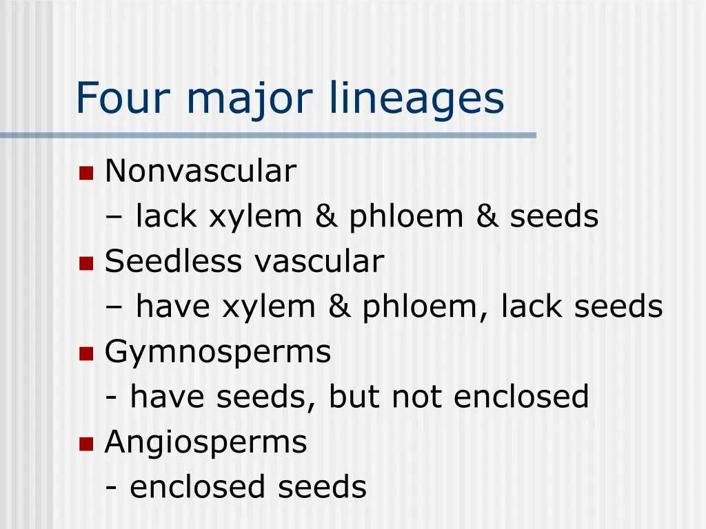 four major lineages