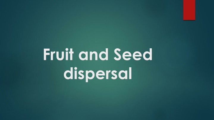 fruit and seed dispersal