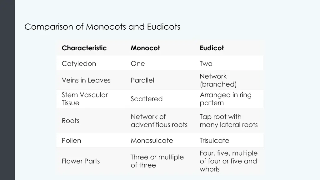 comparison of monocots and eudicots