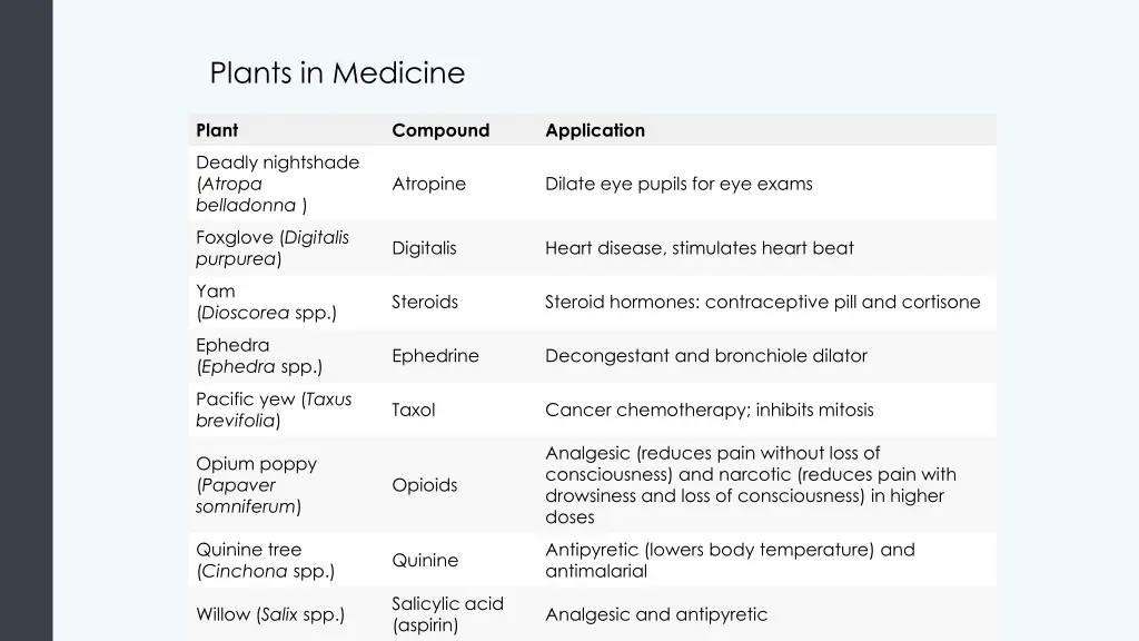 plants in medicine