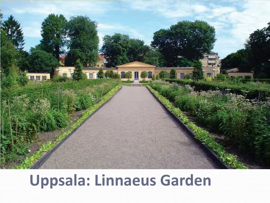 uppsala linnaeus garden