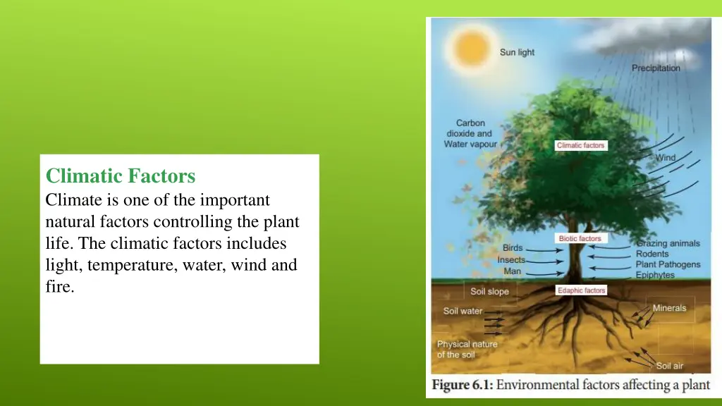 climatic factors climate is one of the important