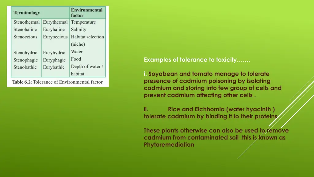 examples of tolerance to toxicity