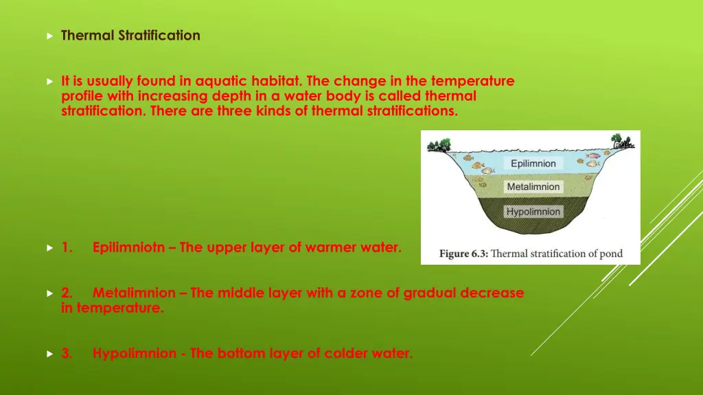 thermal stratification