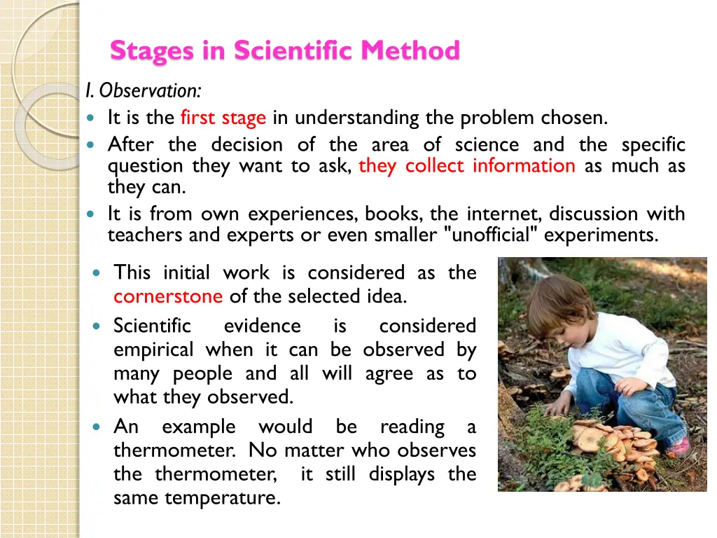 stages in scientific method