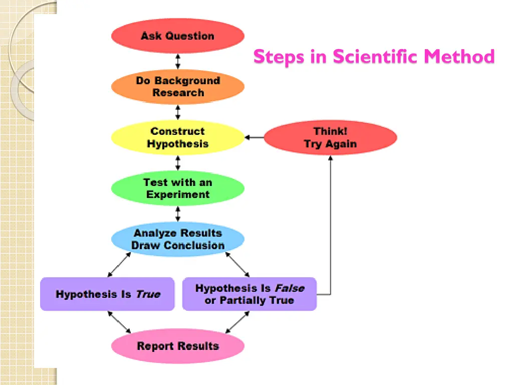 steps in scientific method