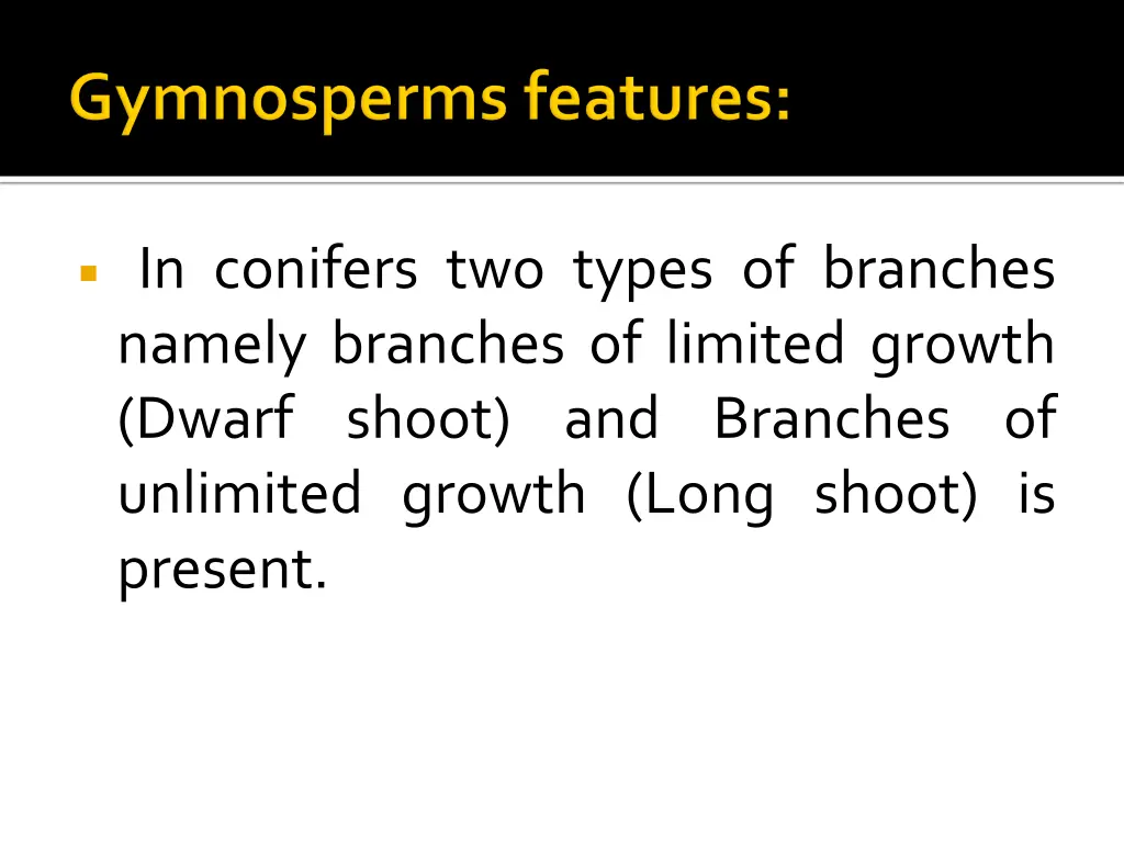 in conifers two types of branches namely branches