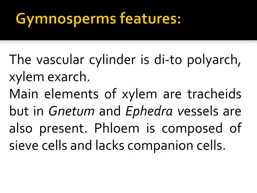 the vascular cylinder is di to polyarch xylem