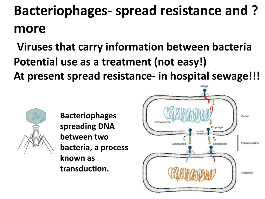 bacteriophages spread resistance and more viruses