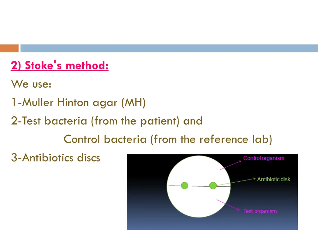 2 stoke s method we use 1 muller hinton agar