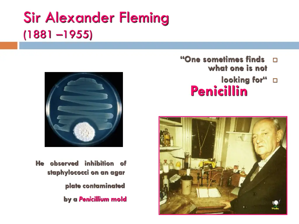 sir alexander fleming 1881 1955