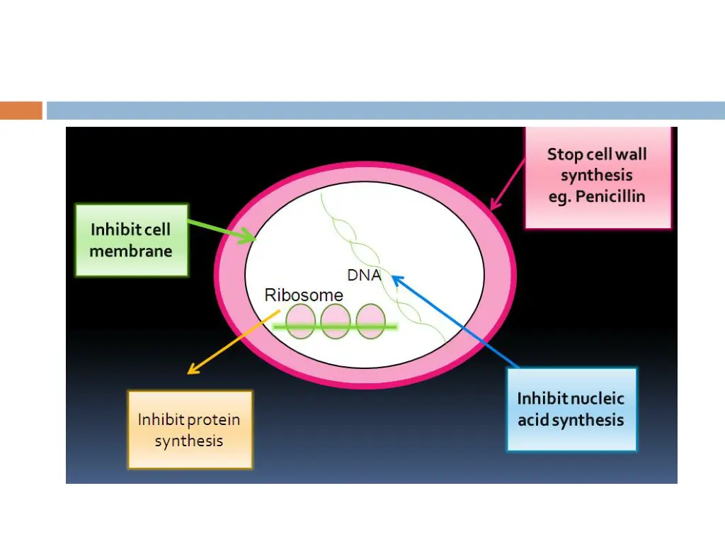 slide6