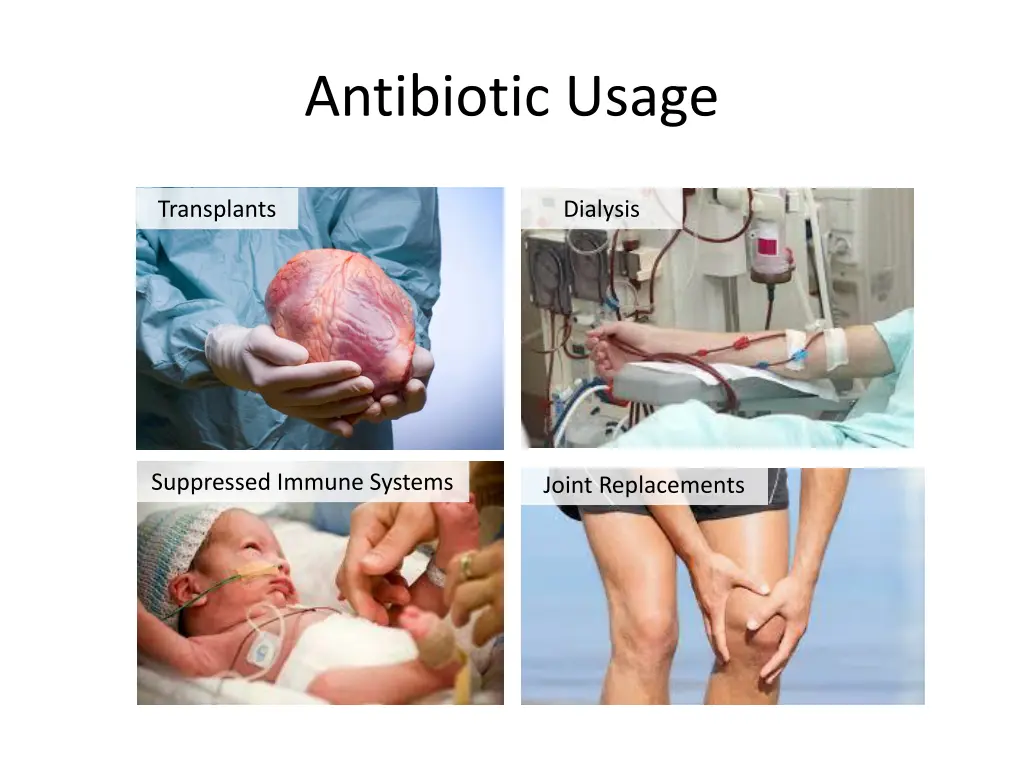 antibiotic usage