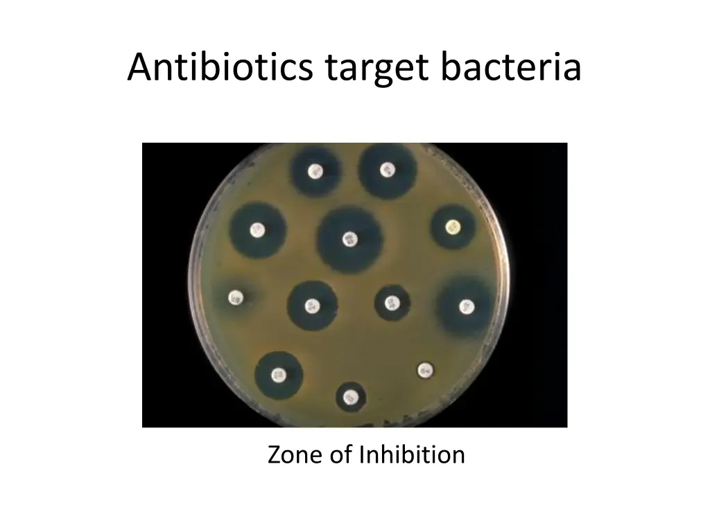 antibiotics target bacteria