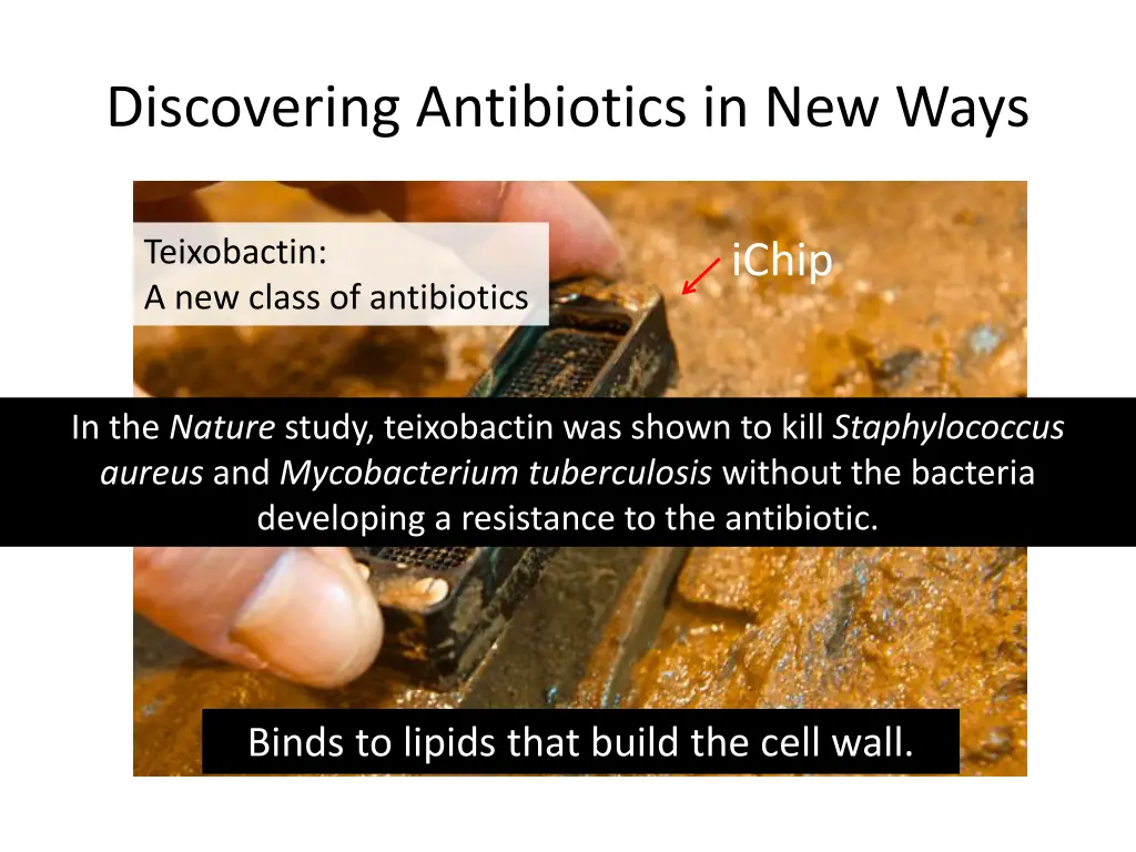 discovering antibiotics in new ways