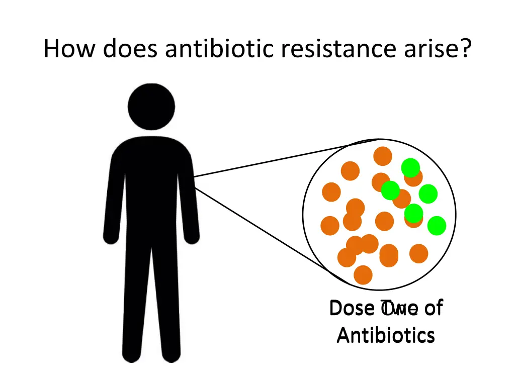 how does antibiotic resistance arise