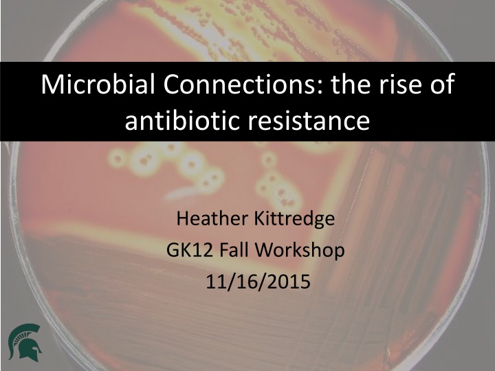 microbial connections the rise of antibiotic