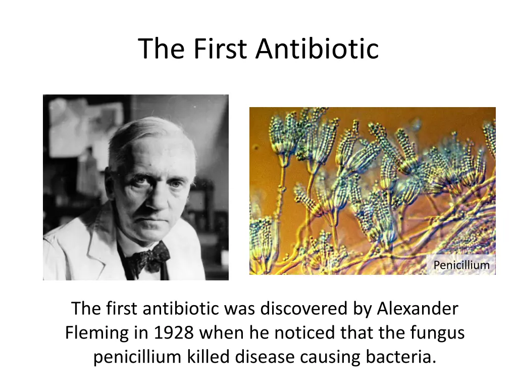 the first antibiotic