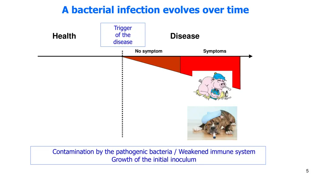 a bacterial infection evolves over time