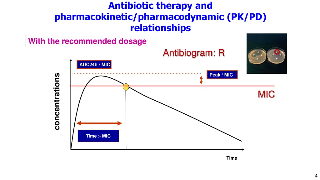 antibiotic therapy and 1