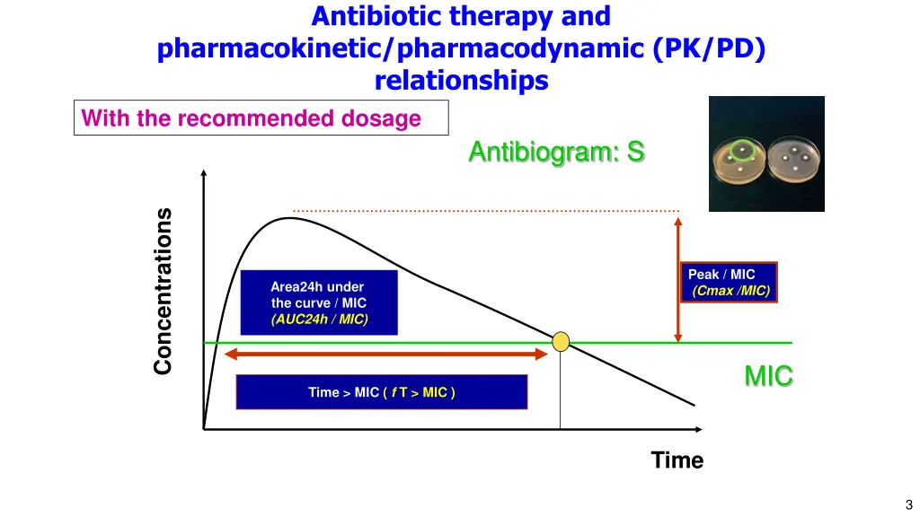 antibiotic therapy and