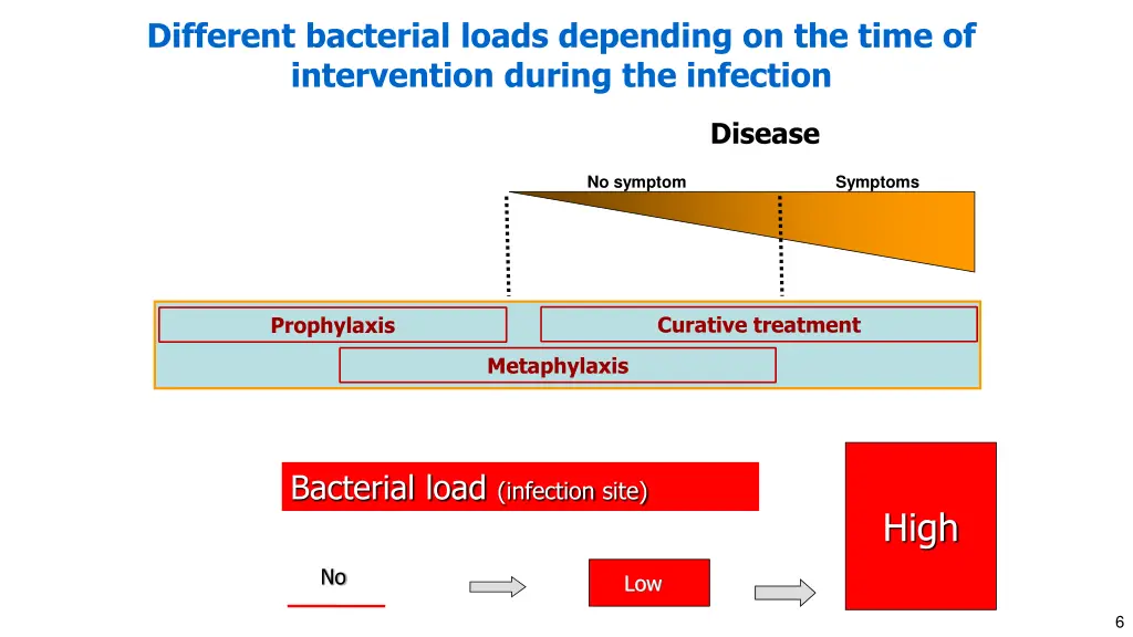 different bacterial loads depending on the time