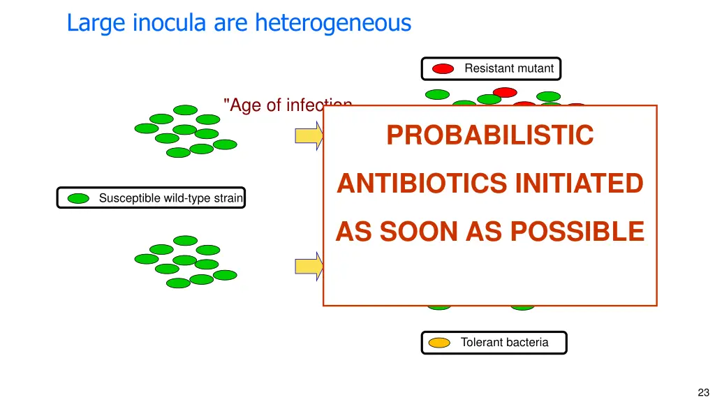 large inocula are heterogeneous 3