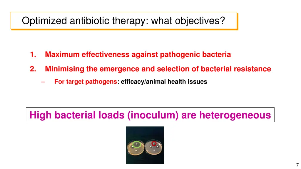 optimized antibiotic therapy what objectives 1