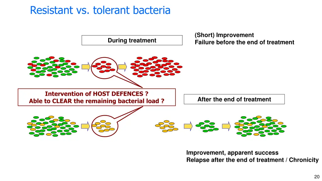 resistant vs tolerant bacteria