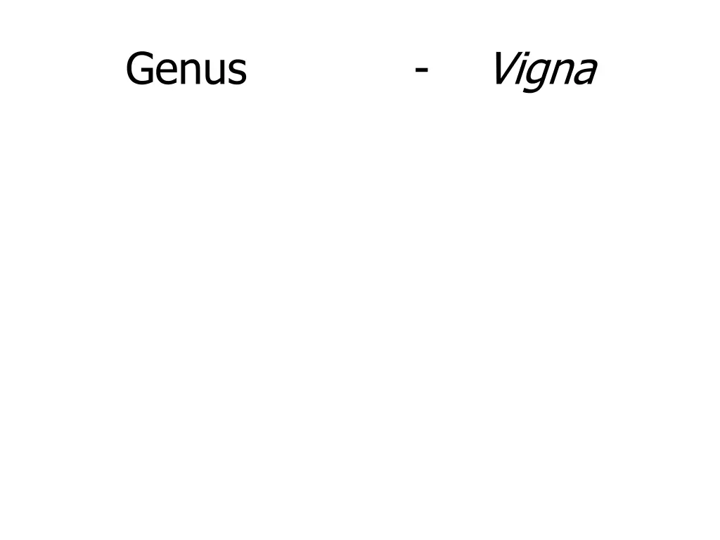 genus