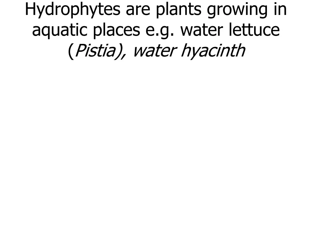 hydrophytes are plants growing in aquatic places